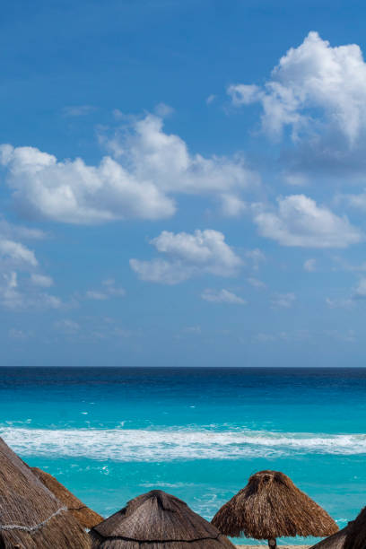 istock Turquoise Caribbean sea and beach umbrellas 1220008055