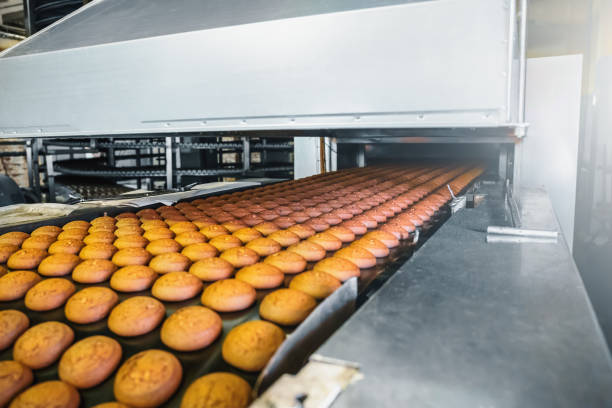 istock Automatic conveyor belt with cakes, baking process in confectionery factory. Food industry 1220009105