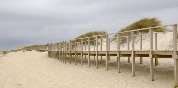 istock Pier over the dunes at the coast 1220011972