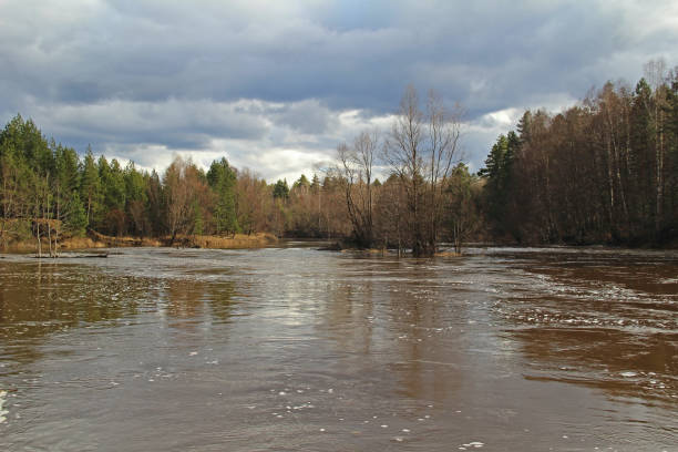 istock River in a delightful spring forest at cloudy evening. Unusual and picturesque scene. 1220012064
