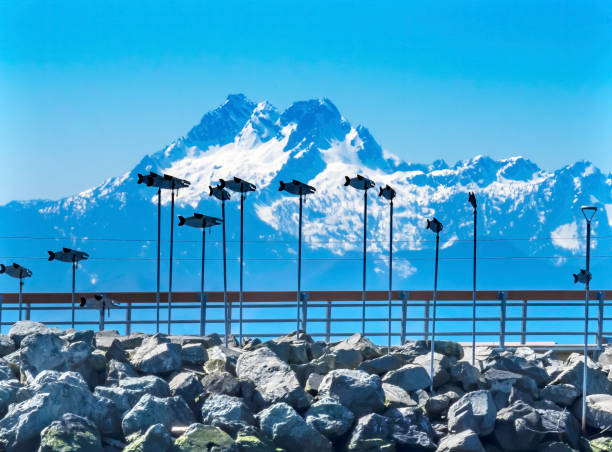 estatuas de salmón del muelle monte olimpo montañas olímpicas edmonds washington - edmonds fotografías e imágenes de stock