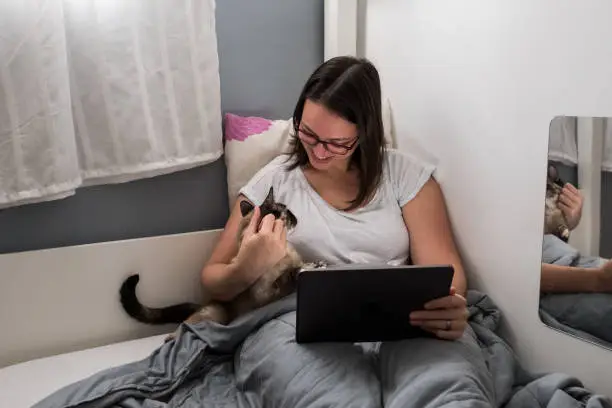 Woman in bed using tablet with a cat