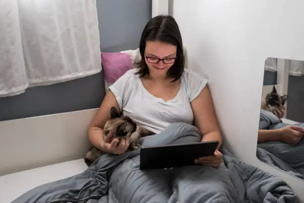 Woman in bed using tablet with a cat