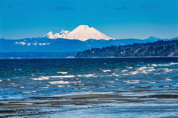istock Mount Baker Bracketts Landing North Beach Park Edmonds Washington 1220014413