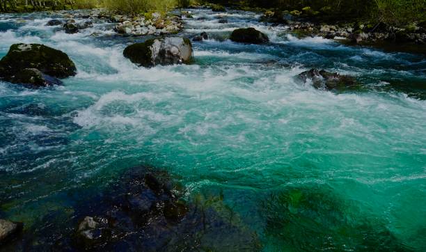 istock Quartzville Creek Beautiful 1220018720