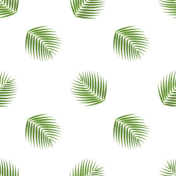 bezszwowy wzór z kreskówką szczegółowy egzotyczny liść kokosowy na białym tle. ilustracja wektorowa dla każdego projektu. - pattern coconut palm tree frond textile stock illustrations