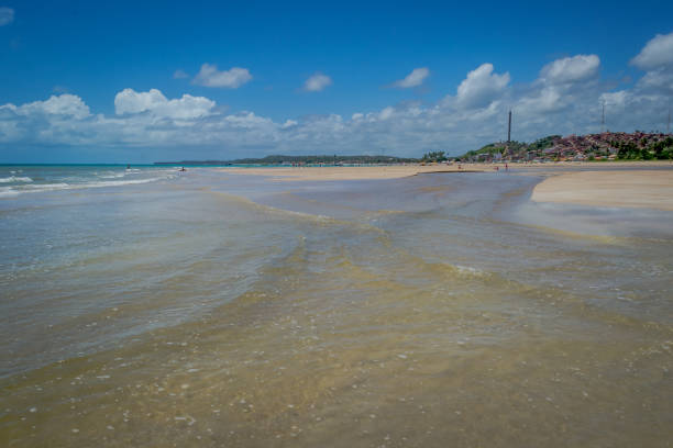 istock Beaches of Brazil - Maragogi Beach, Alagoas state 1220022331