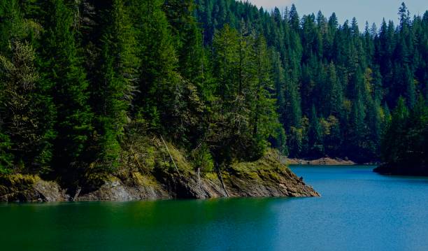 istock Green Peter Lake Zen 1220024040