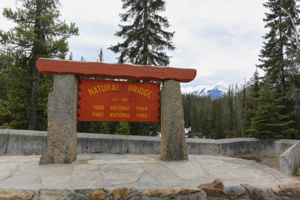 istock Natural Bridge Sign in Yoho National Park 1220025197
