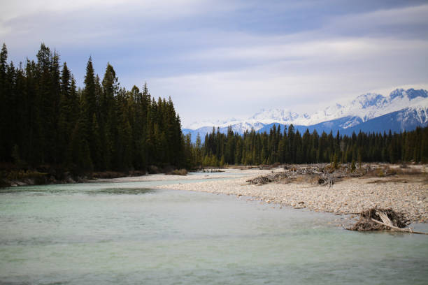 istock Wonderful scenery in Yoho National Park 1220025216
