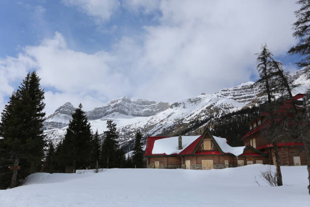 istock Wonderful scenery along the Icefields Parkway 1220025753