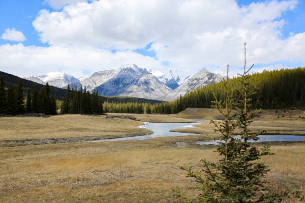 istock Wonderful scenery along Banff National Park 1220026061