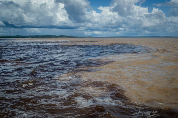 istock Cities of Brazil - Manaus, Amazonas state capital 1220026155
