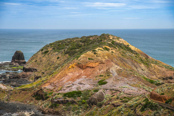 istock Natural view in Mornington Peninsula National Park. 1220029650