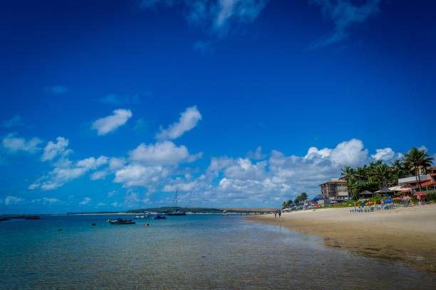 istock Beaches of Brazil - Frances Beach, at Marechal Deodoro, Alagoas state 1220030867