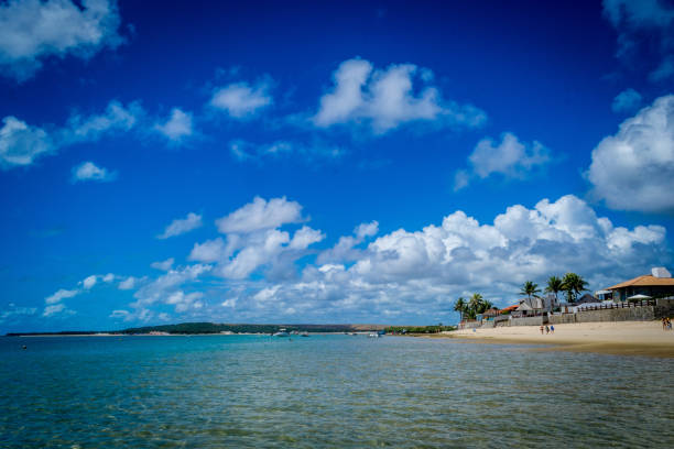 istock Beaches of Brazil - Frances Beach, at Marechal Deodoro, Alagoas state 1220030879