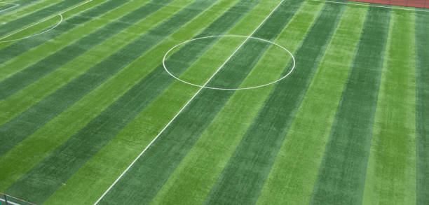 istock Neatly lush football pitch close-up 1220031320