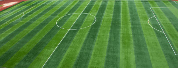 istock Neatly lush football pitch close-up 1220031323