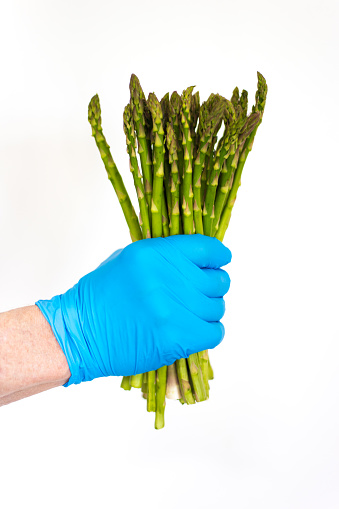 Hand Holding Asparagus Bunch with Protective Latex Glove