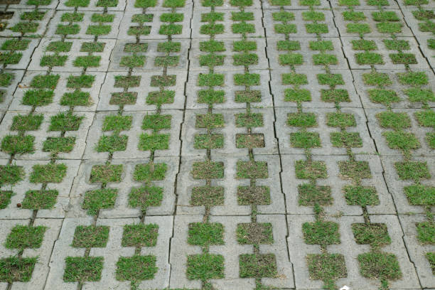 istock Walkways, concrete floors with grass sprouting along the surface, 1220034558