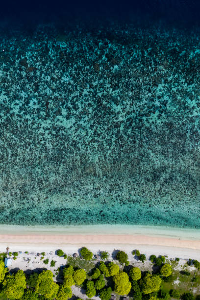 istock Abstract view of some blue coral lagoon pattern in Indonesia 1220035386