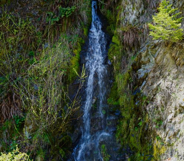 istock Quartzville Creek Tributary 1220036963