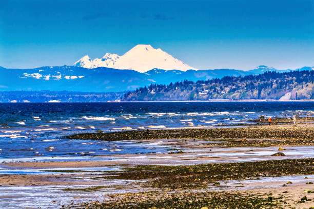 istock Mount Baker Bracketts Landing North Beach Park Edmonds Washington 1220037670