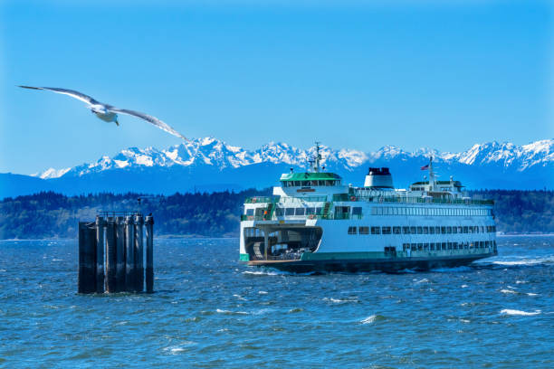 Seagull Washington State Ferry Boat Olympic Mountain Range Edmonds Washington Seagull Washington State Ferry Olympic Snow Mountains Edmonds Washington.  Ferry arriving at Ferry Port on Puget Sound. edmonds stock pictures, royalty-free photos & images