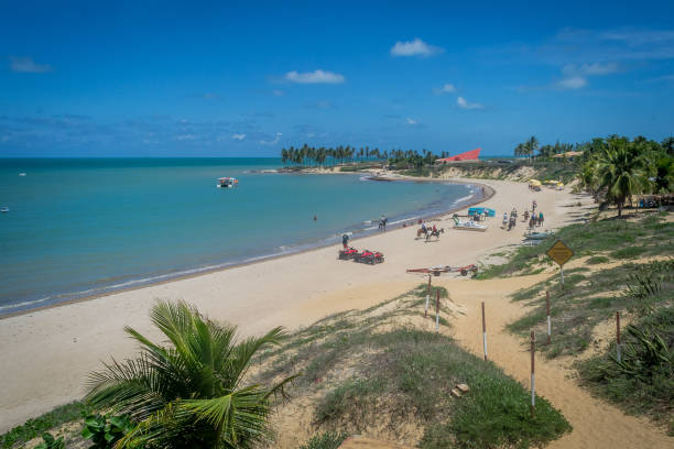 istock Beaches of Brazil - Maracajau RN 1220037728
