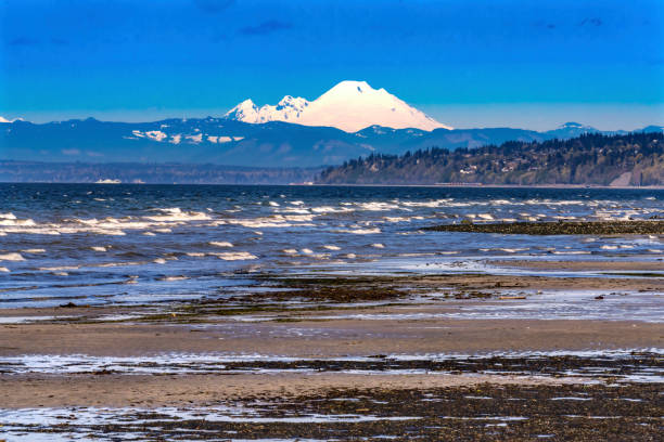 Mount Baker Bracketts Landing North Beach Park Edmonds Washington