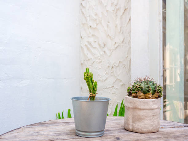 istock Green cactus in ceramic planter and mini zinc pot on wooden table. 1220045418