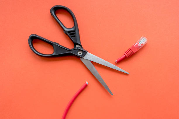 istock on a red background the internet cable with the connector is cut into pieces 1220050317