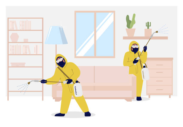 Home insect control services, vector flat illustration Home pest control services, vector flat illustration. Exterminator team spraying living room with insecticide to rid home of insects or rodents. Domestic disinfection, insect control concept. office fogging stock illustrations