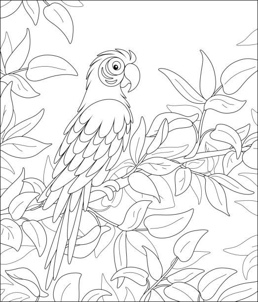 Funny Parrot Among Leaves In A Tropical Jungle Stock Illustration -  Download Image Now - Coloring, Rainforest, Animal - iStock