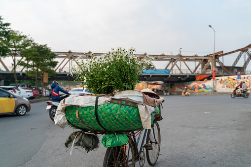 Flower vendor on Hanoi street at early morning with Long Bien old metal bridge on background