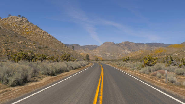 istock Scenic route through the desert at Sequoia in California 1220057833