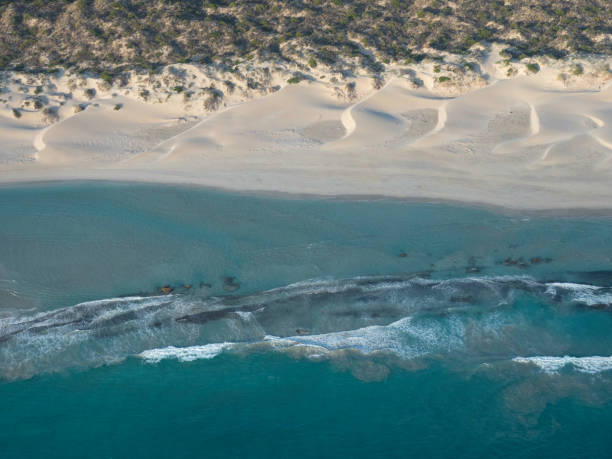 istock Aerial photo over remote Australian Coastline 1220059525