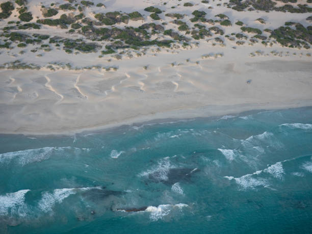 istock Aerial photo over remote Australian Coastline 1220059554