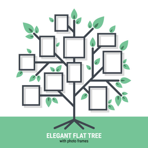 ilustraciones, imágenes clip art, dibujos animados e iconos de stock de elegante árbol plano con marcos de fotos - árbol genealógico