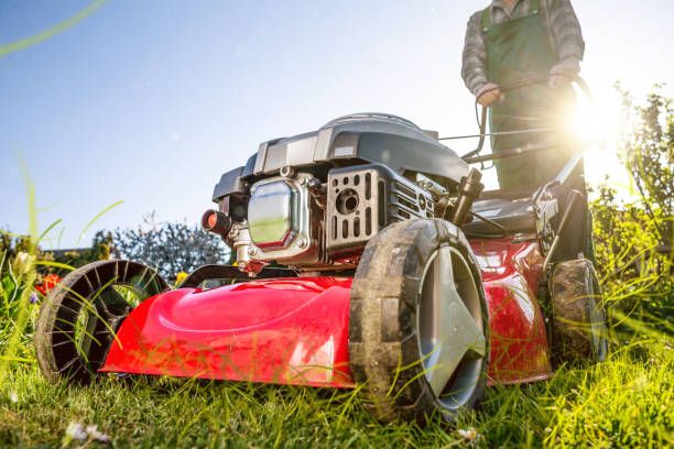 istock Lawn mower on a sunny meadow 1220062865