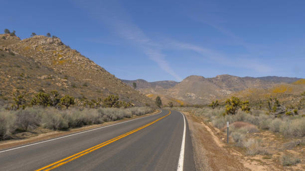 istock Scenic route through the desert at Sequoia in California 1220062869