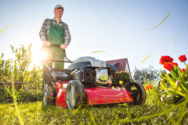 istock Man with a lawn mower in his sunny garden 1220062879