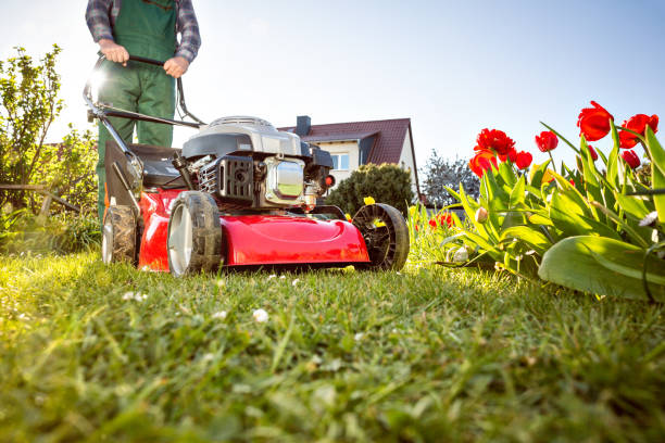 istock Lawn mower on a meadow at home 1220062891