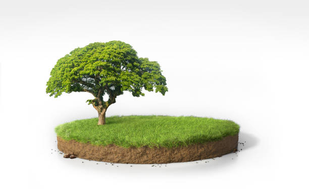 istock Realistic 3D rendering circle cutaway grass field with tree podium isolated on white space 1220063911