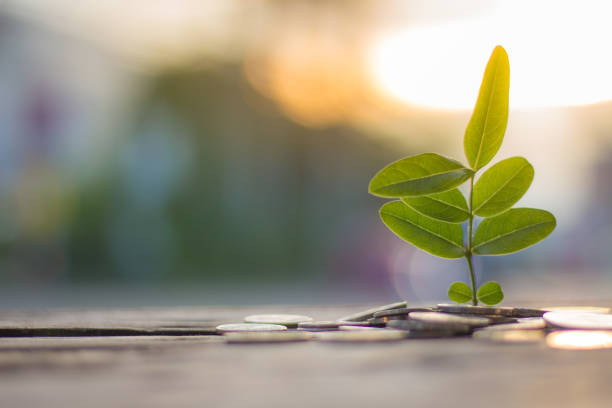 istock Finance and save money concept with business for planting tree 1220064287