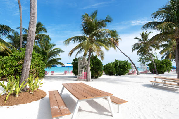 istock Tropical paradise beach resort 1220065857