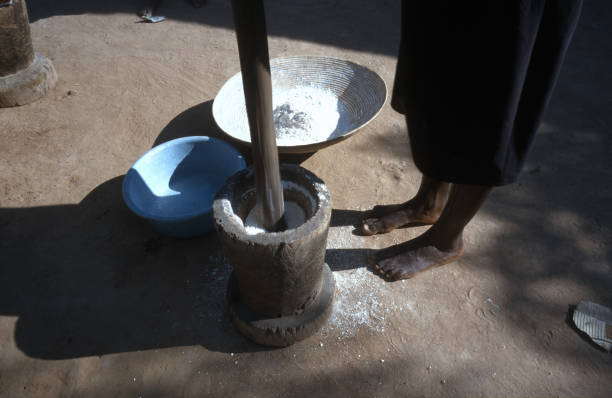 A native Angolan woman grinds cereal for food