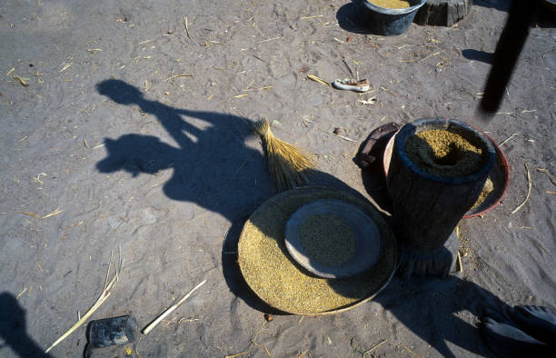 A native Angolan woman grinds cereal for food