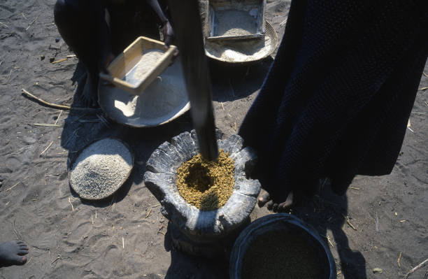 A native Angolan woman grinds cereal for food