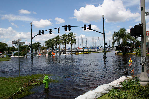 powódź wody - hurricane florida zdjęcia i obrazy z banku zdjęć